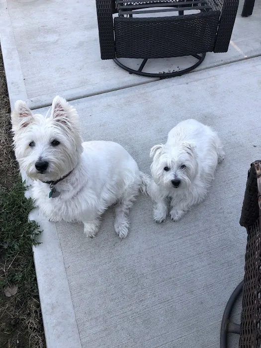 Animal Care Clinic Picture 2