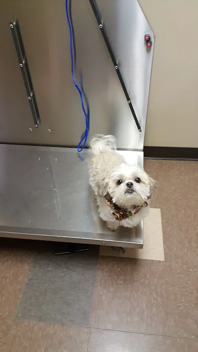 Animal Care Clinic Picture 1