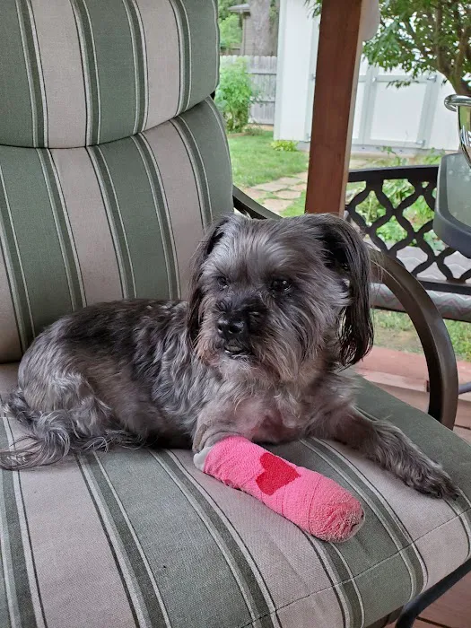 Animal Care Clinic Picture 5