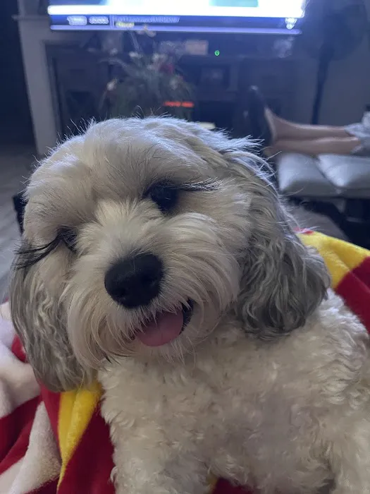 Animal Care Clinic Picture 4