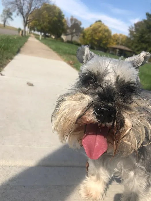 Animal Care Clinic Picture 3