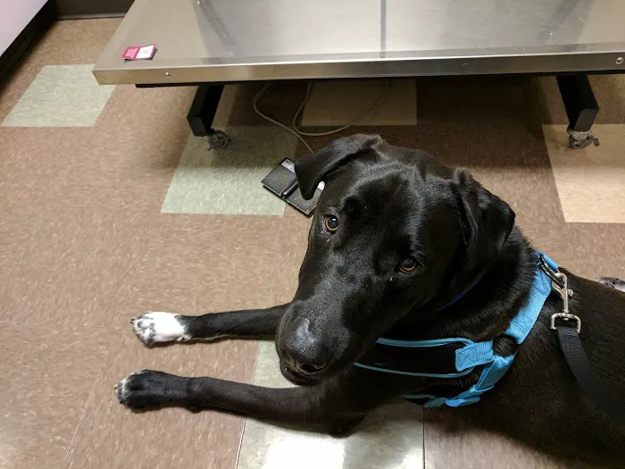 Animal Care Clinic Picture 9