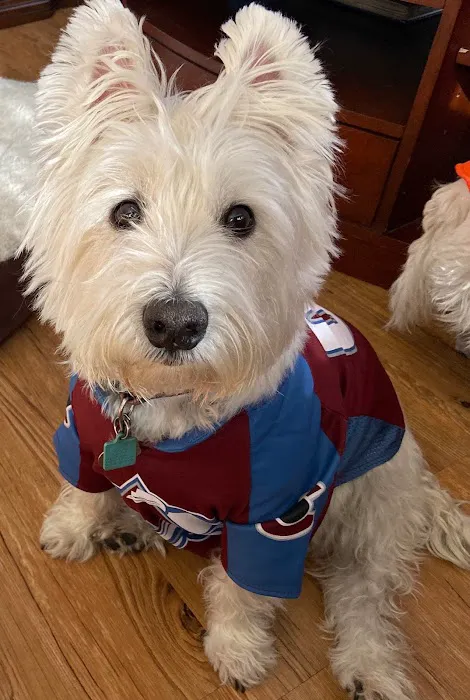 Animal Care Clinic Picture 7