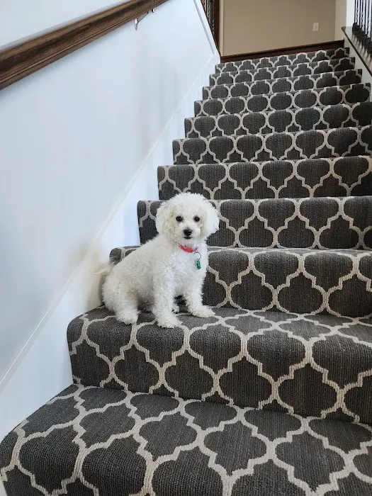 Monticello Animal Hospital Picture 2