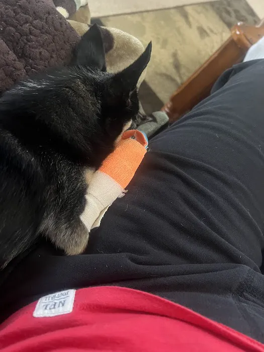 Monticello Animal Hospital Picture 7