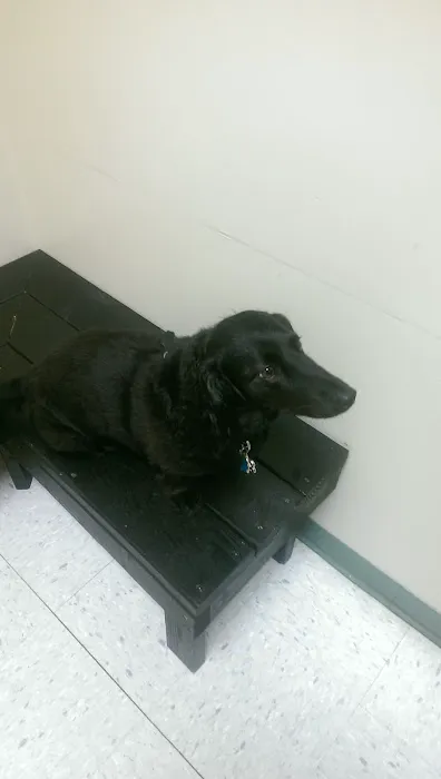 Monticello Animal Hospital Picture 5