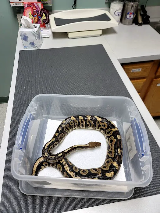 Monticello Animal Hospital Picture 6