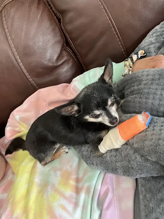 Monticello Animal Hospital Picture 8