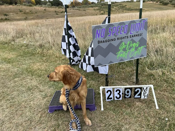 Kansas City Canine Orthopedics Picture 5