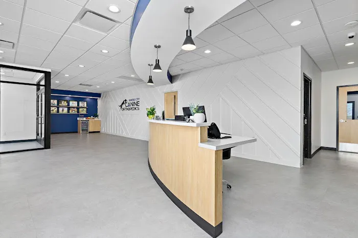 Kansas City Canine Orthopedics Picture 10
