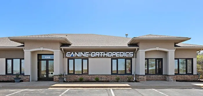 Kansas City Canine Orthopedics Picture 9