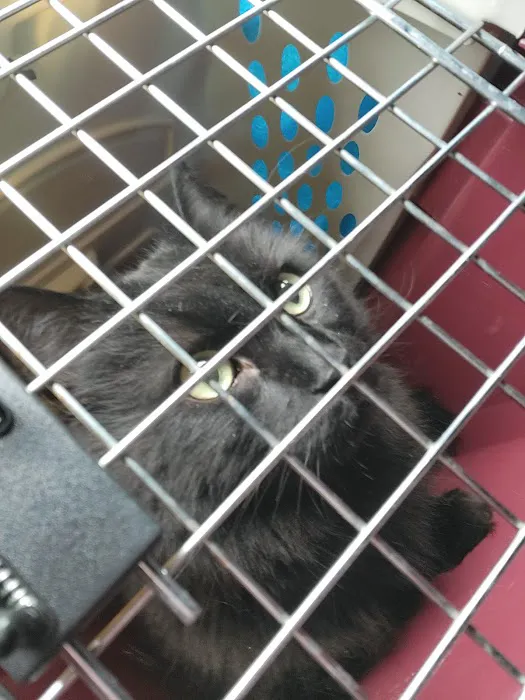 Coronado Animal Hospital Picture 1