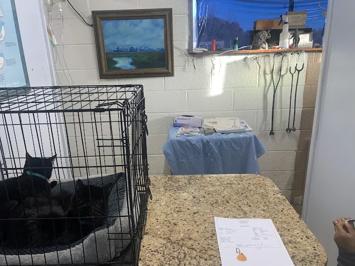 Coronado Animal Hospital Picture 5