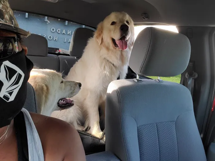 Coronado Animal Hospital Picture 9