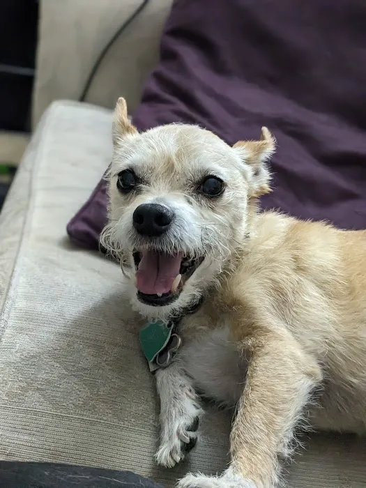 Coronado Animal Hospital Picture 10