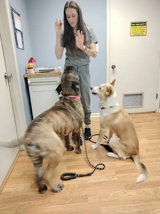 Turner Animal Hospital Picture 1