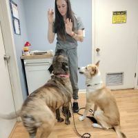 Turner Animal Hospital ico