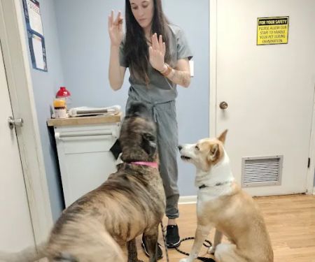 Turner Animal Hospital