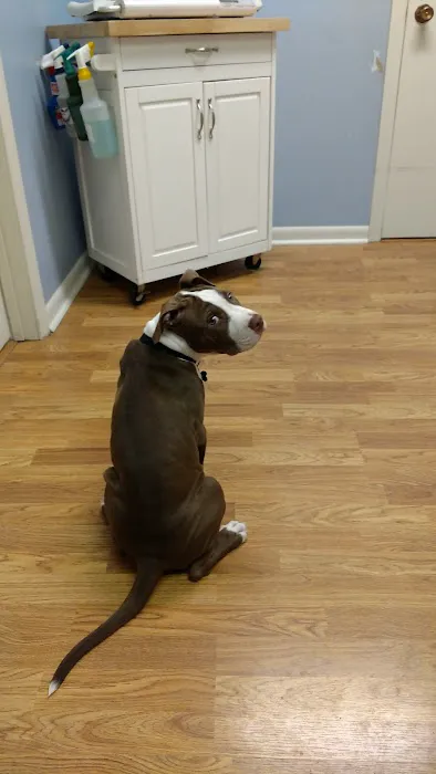 Turner Animal Hospital Picture 4