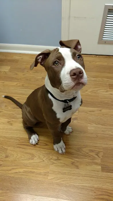 Turner Animal Hospital Picture 3