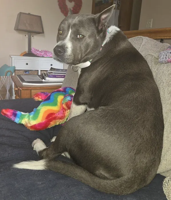 Turner Animal Hospital Picture 5