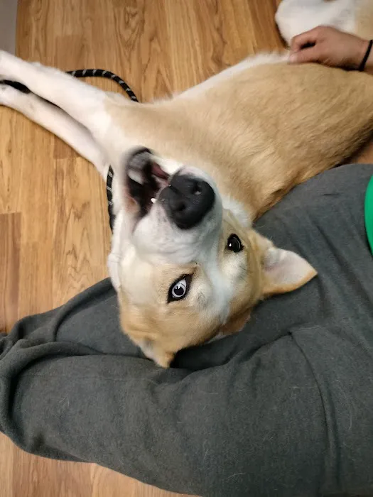 Turner Animal Hospital Picture 2