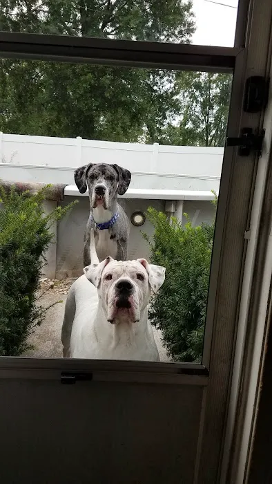 Turner Animal Hospital Picture 7