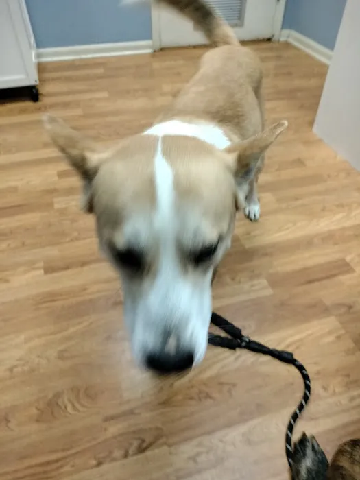 Turner Animal Hospital Picture 6