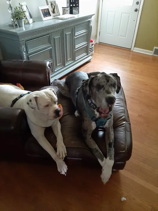 Turner Animal Hospital Picture 8