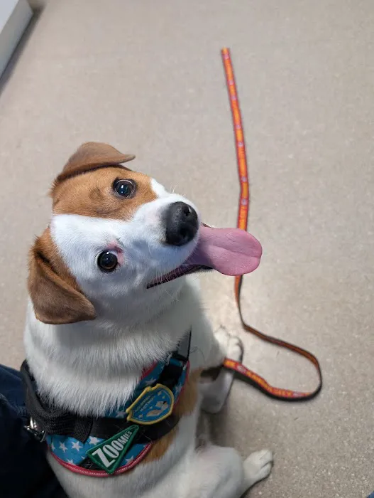 Turner Animal Hospital Picture 10