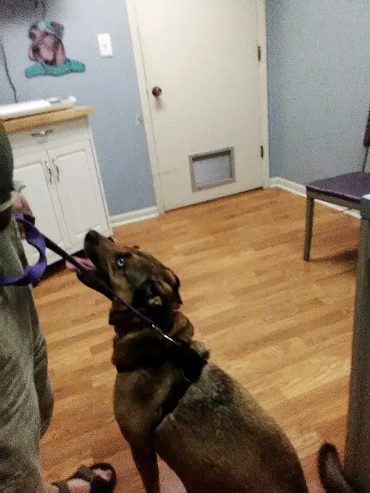 Turner Animal Hospital Picture 9