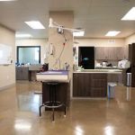 De Soto Veterinary Clinic