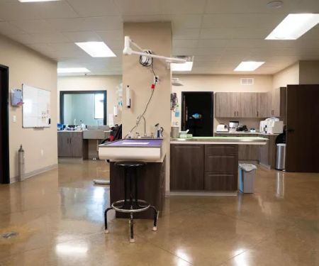 De Soto Veterinary Clinic