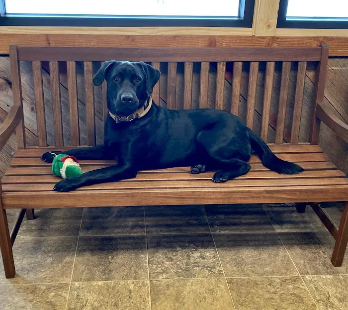 De Soto Veterinary Clinic Picture 6