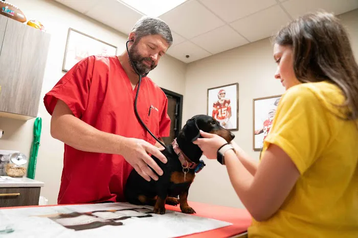 De Soto Veterinary Clinic Picture 8
