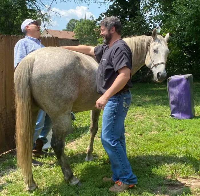 De Soto Veterinary Clinic Picture 10