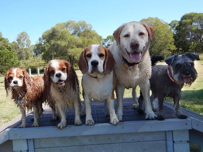 De Soto Veterinary Clinic Picture 9