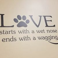 Perimeter Veterinary Center ico