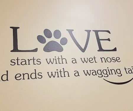 Perimeter Veterinary Center