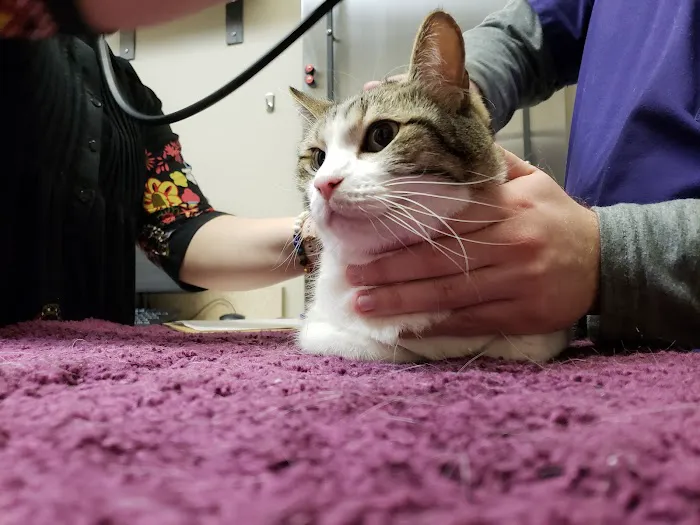 Perimeter Veterinary Center Picture 3