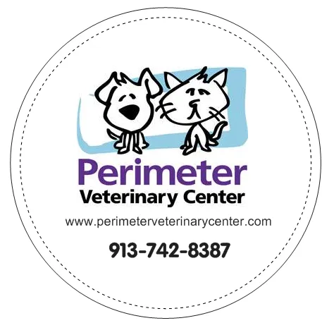 Perimeter Veterinary Center Picture 9