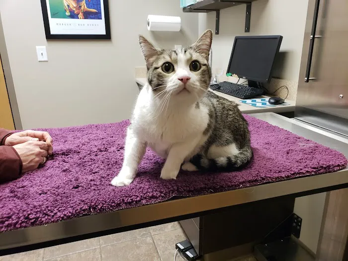 Perimeter Veterinary Center Picture 6