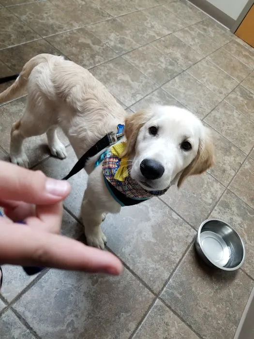 Perimeter Veterinary Center Picture 7