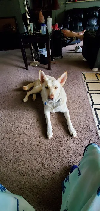 Cedar Ridge Animal Hospital Picture 6