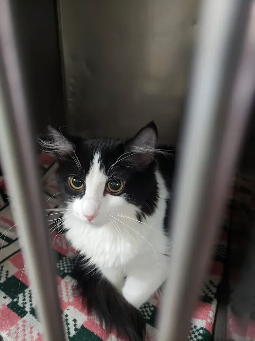 Cedar Ridge Animal Hospital Picture 5