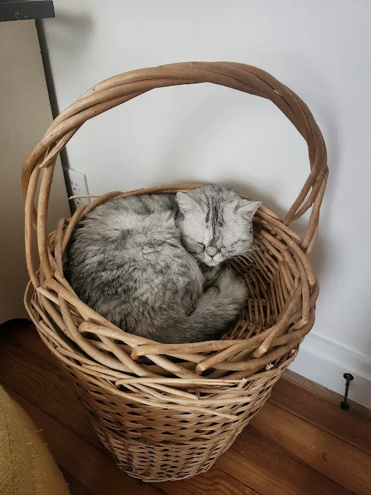 Cedar Ridge Animal Hospital Picture 3