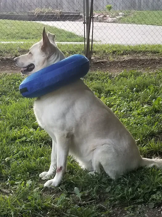 Cedar Ridge Animal Hospital Picture 9