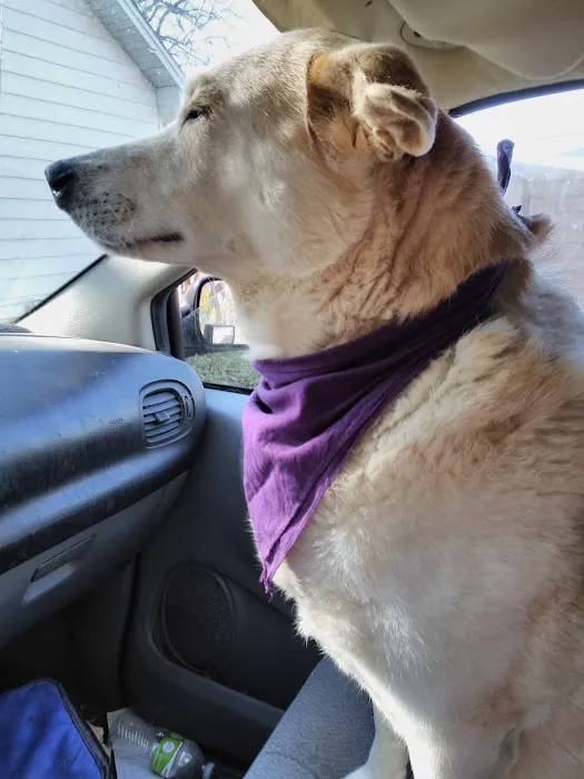 Jackson County Animal Hospital Picture 1