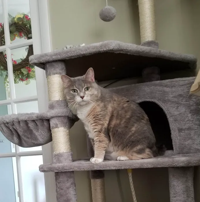 Jackson County Animal Hospital Picture 2