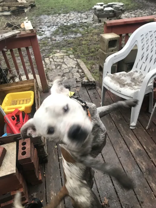 Jackson County Animal Hospital Picture 7